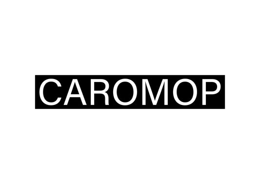 CAROMOP Waterproof and Breathable Front Seat Cover